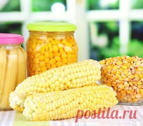 Заготавливаем кукурузу впрок