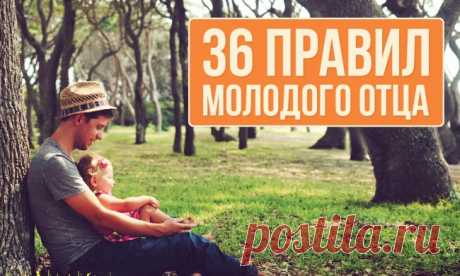 36 правил молодого отца [ad name=»content»] Появление ребенка в корне меняет жизнь всей семьи и, в частности, главы семьи — папы. Казалось бы, такой комочек, а хлопот немерено! Однако все ваши старания и заботы быстро окупятся, особенно если вы будете учиться у отцов, …
