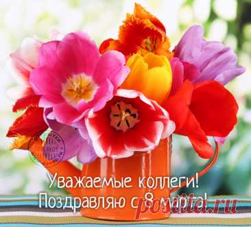 Открытки с 8 марта 2024 для коллег
Дизайн и оформление

Актуальные тренды в оформлении открыток:

    Весенняя тематика: цветы, бабочки, первые листочки

    Деловой стиль: элегантные композиции с корпоративными элементами

    Модные цвета: пастельные оттенки, нежные розовые и голубые тона

    Современные мотивы: минимализм, геометрический дизайн