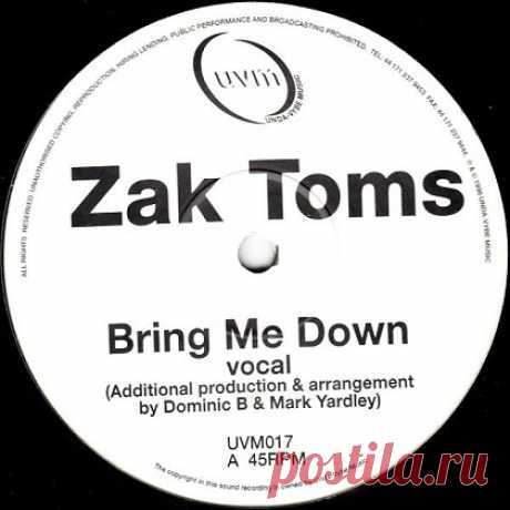 Zak Toms - Bring Me Down (Original Mix) free download mp3 music 320kbps