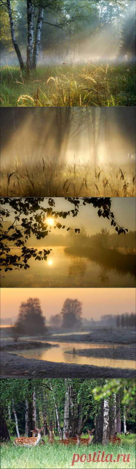 Потрясающе, как прекрасна наша природа! Фотограф Владимир Кириллов.