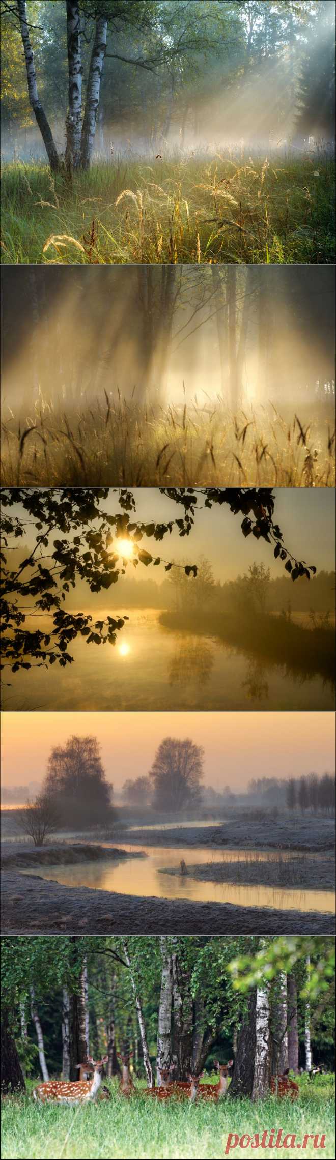 Потрясающе, как прекрасна наша природа! Фотограф Владимир Кириллов.