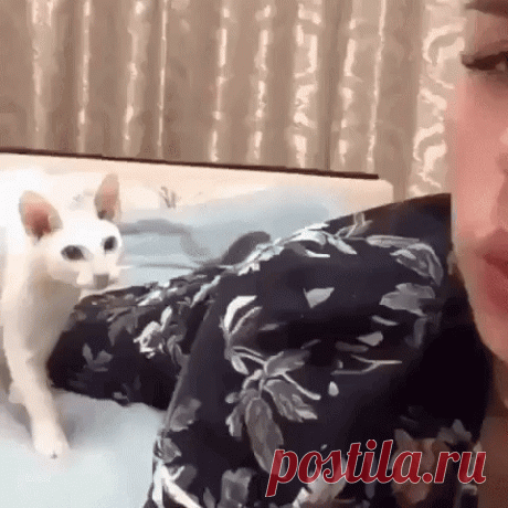 А ну, фоткайся с нормальным лицом ))))))))))