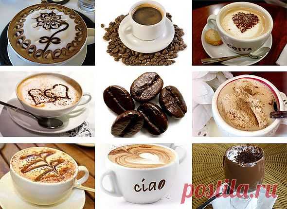 Кофе - лучшая когда-либо созданная органическая смесь.