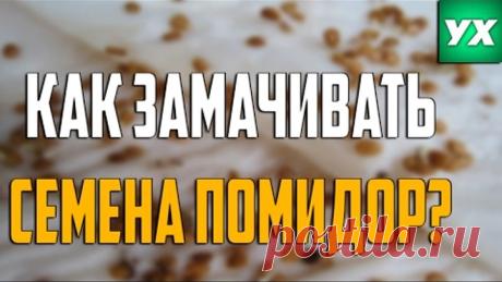 (11) Одноклассники