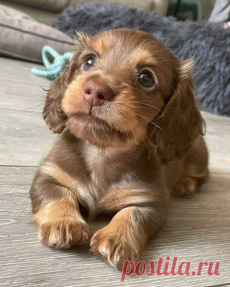 🌿Наталия🌿 (@SobstvennoyP) / Twitter