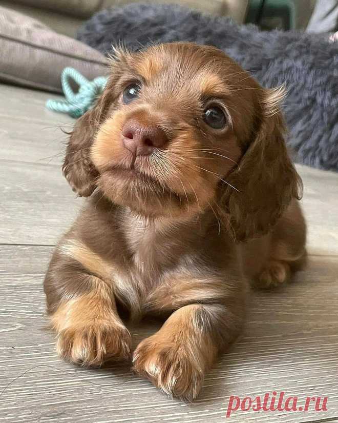 🌿Наталия🌿 (@SobstvennoyP) / Twitter