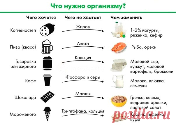 В каких продуктах и витаминах нуждается организм — Делимся советами