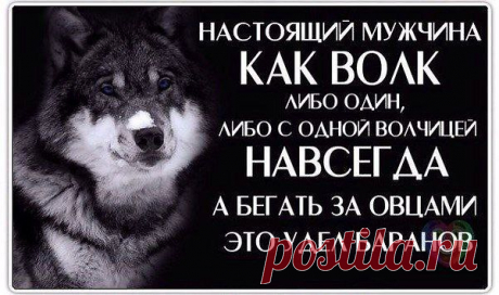 Интересные новости