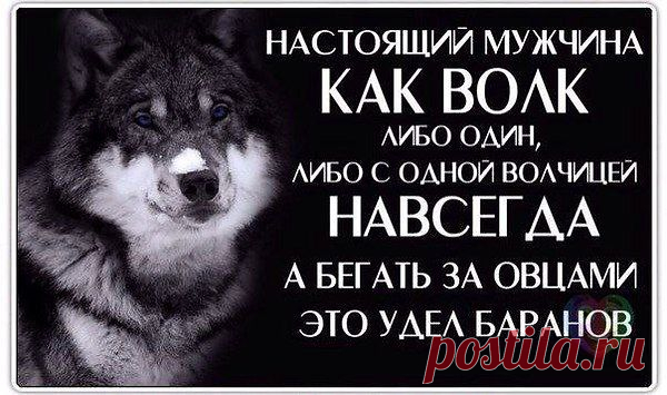 Интересные новости