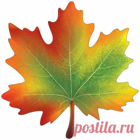 80+ трафаретов кленовых листьев для вырезания