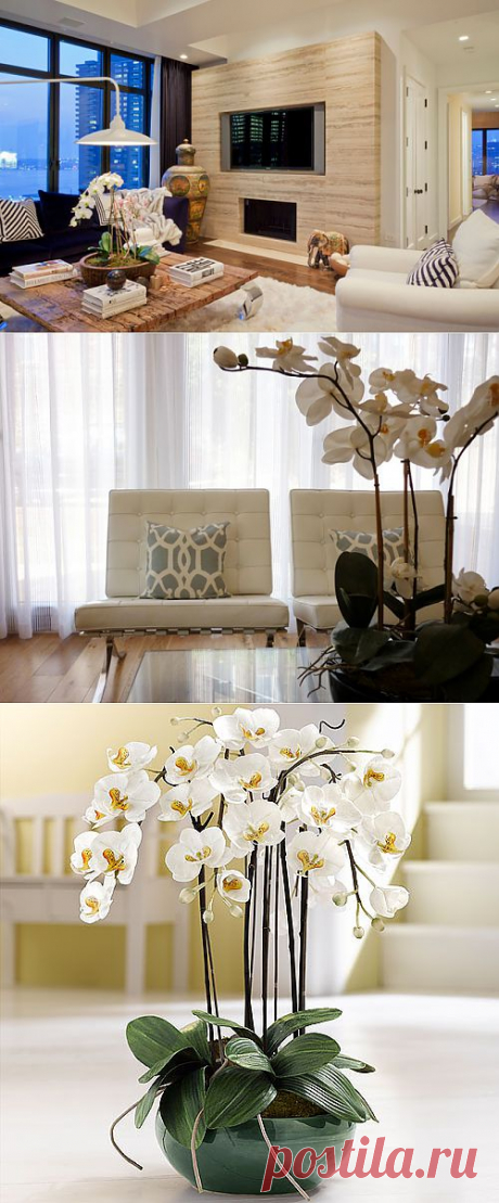 Очаровательные орхидеи в интерьере ~ Sweet home