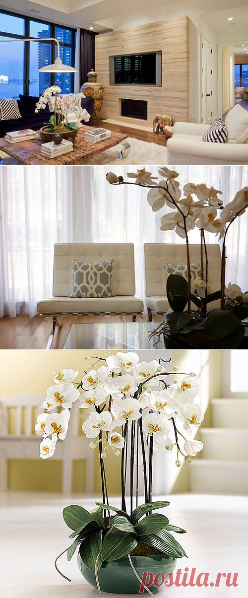 Очаровательные орхидеи в интерьере ~ Sweet home