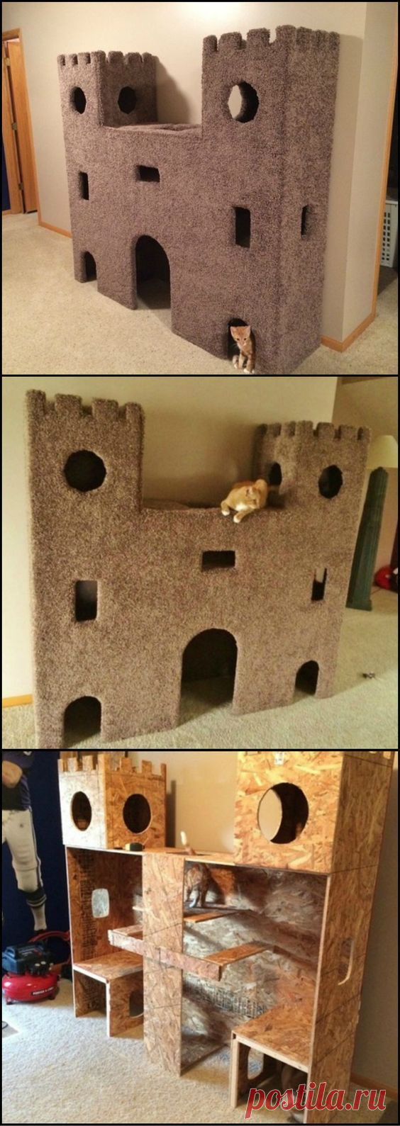 "Принц и нищий" на кошачьем