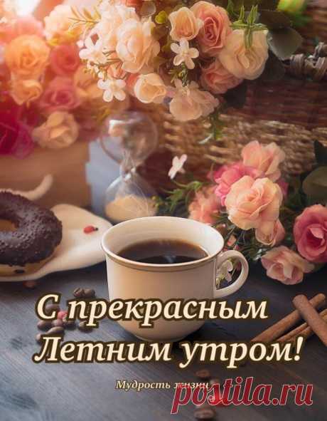 Окно распахните для счастья и света,
И радуйтесь жизни всем бедам назло.
Пусть душу вам греет уютное лето,
Пусть будет на сердце светло и тепло!