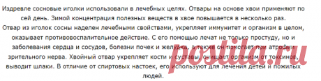 Польза сосновой хвои