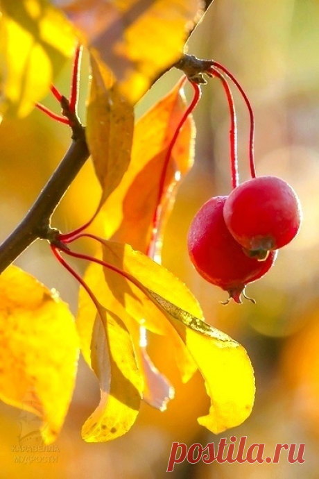 i (400×600)
