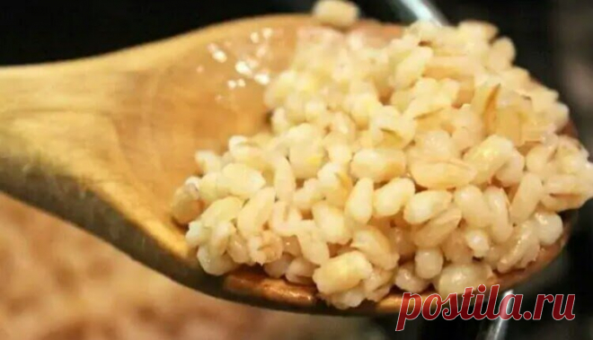 Что любит перловка: научили варить вкусно и быстро перловую кашу без замачивания: 4 хитрости. Век живи, век вкусно перловку вари | В саду у Валентинки | Яндекс Дзен