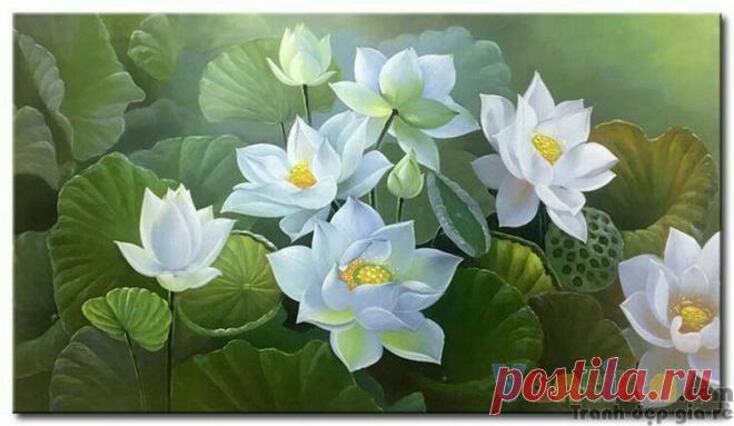 Пин на доске sen