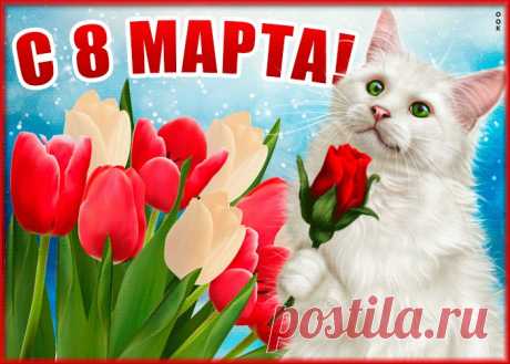 Картинки с 8 Марта | ТОП Картинки