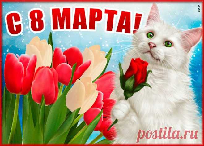 Картинки с 8 Марта | ТОП Картинки