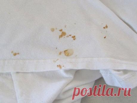 Как отстирать ржавчину с белой и цветной одежды: эффективные домашние средства Заметили на одежде пятна ржавчины? Они могут появиться из-за после намокания ключей в кармане, молнии или металлических кнопок. Какой бы не была причина, ржавчину можно отстирать, даже если она посели…