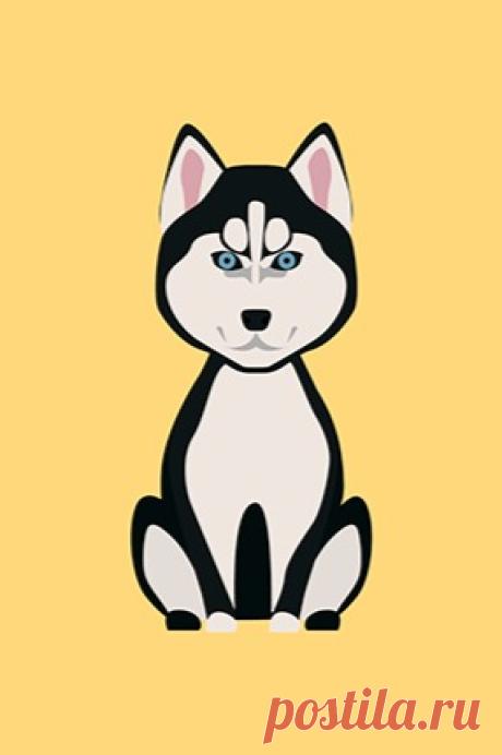 (275) Acadpets.ru - Академия: В мире животных