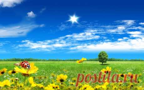 beautiful_fantasy_world-widescreen_wallpapers.jpg (Изображение JPEG, 1920 × 1200 пикселов) - Масштабированное (64%)