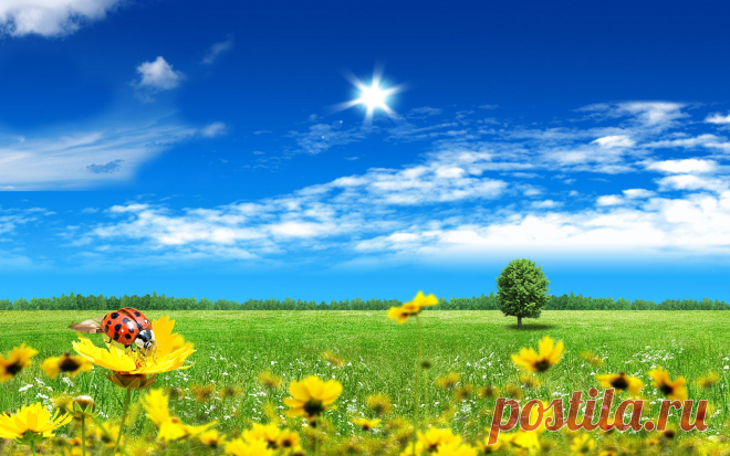 beautiful_fantasy_world-widescreen_wallpapers.jpg (Изображение JPEG, 1920 × 1200 пикселов) - Масштабированное (64%)