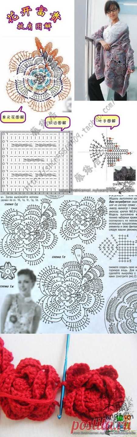 Выдающийся крючком: китайские розы. Образец.