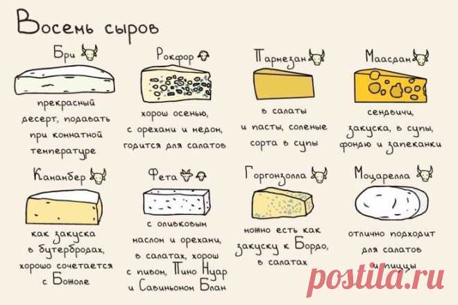 Всем любителям сыров посвящается!

Приятного аппетита!

#инфографика@bon.appetit
