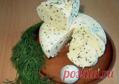 Домашний сыр без заморочек - пошаговый рецепт с фото. 
Ингредиенты
Замечательный   рецепт домашнего сыра
Вкус типа сулугуни   или нежной брынзы Можно делать с укропом, кинзой, грецкими орехами, оливками или свежими травами.
Приготовление 
Домашний сыр 
Очень вкусный домашний плавленый сыр.
Быстрый и простой рецепт приготовления в домашних условиях. 
Состав продуктов 
Вскипятите 1 литр молока.
В молоко добавьте 1 стакан кефира.
Перемешайте и добавьте соль (2 ч. ложки). 
Постоянно помешивая, …