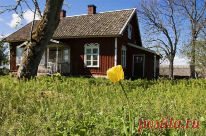 ​Весенний выбор. Эксперты назвали способы дешево купить дачу. Цены на такие объекты стартуют от 200 тыс. рублей.