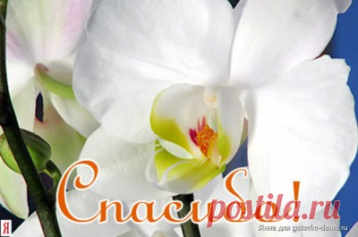 Коллекция вязаных цветов со схемами