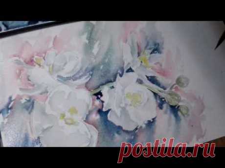 Hedwig's Art watercolor white orchid