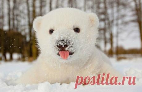 Странная это штука - настроение... Приходит неоткуда, уходит в никуда, а когда зовешь, делает вид что не слышит...