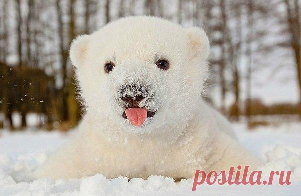 Странная это штука - настроение... Приходит неоткуда, уходит в никуда, а когда зовешь, делает вид что не слышит...