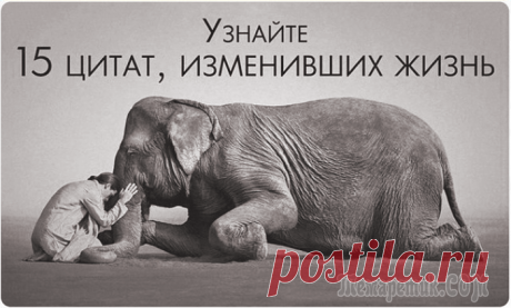 15 вдохновляющих цитат, способных изменить жизнь Для того, чтобы решиться на изменения в своей жизни и начать не просто мечтать, а действовать, порой человеку нужно не так и много – всего лишь мотивация или вовремя услышанное слово. В сегодняшней по...