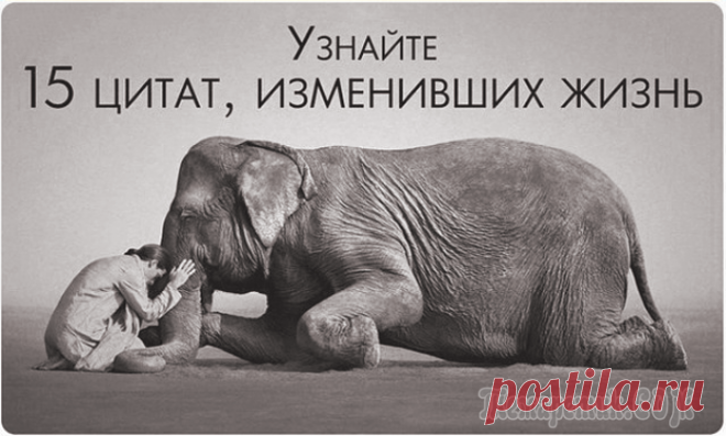 15 вдохновляющих цитат, способных изменить жизнь Для того, чтобы решиться на изменения в своей жизни и начать не просто мечтать, а действовать, порой человеку нужно не так и много – всего лишь мотивация или вовремя услышанное слово. В сегодняшней по...
