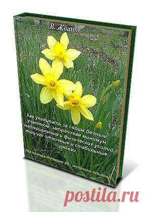 Как обучиться удаленной работе и что можно заработать | zhdanovpapa.ru