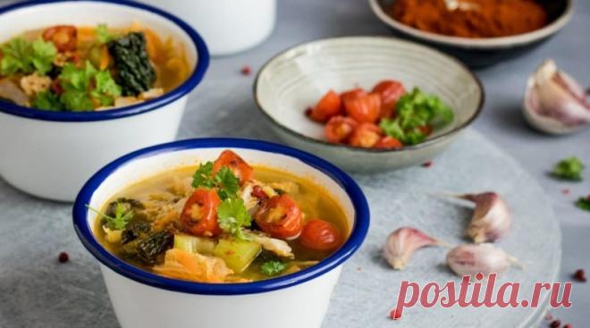 Худеем на боннском супе – 9 кг за 7 дней | SimpleSlim