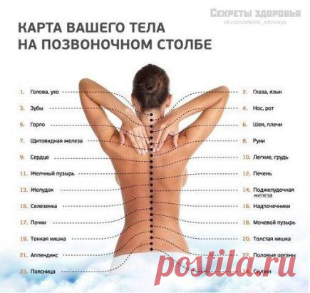 (81) Одноклассники