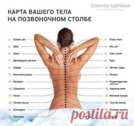 (81) Одноклассники