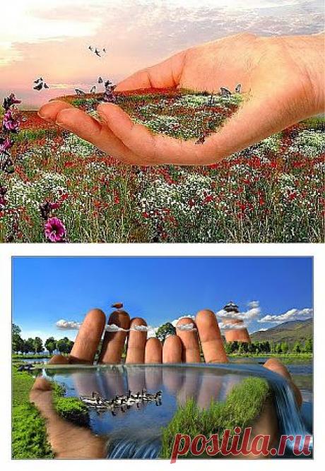 SOOLARBOY: Борьба за экологию: иллюзия или реальность?(отрывок из статьи 2000г)