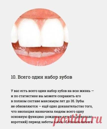 Интересные факты о нашем организме