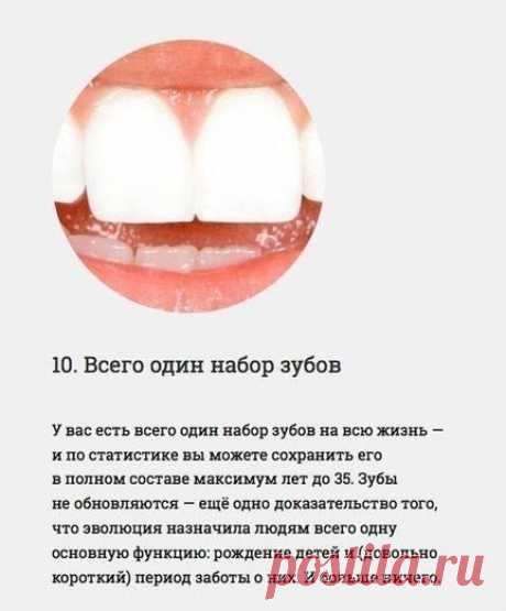 Интересные факты о нашем организме