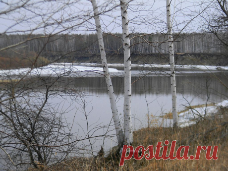 ФОТОМАСТЕРСКАЯ ПРИРОДЫ
Елена Рыльская(Шапрынская)