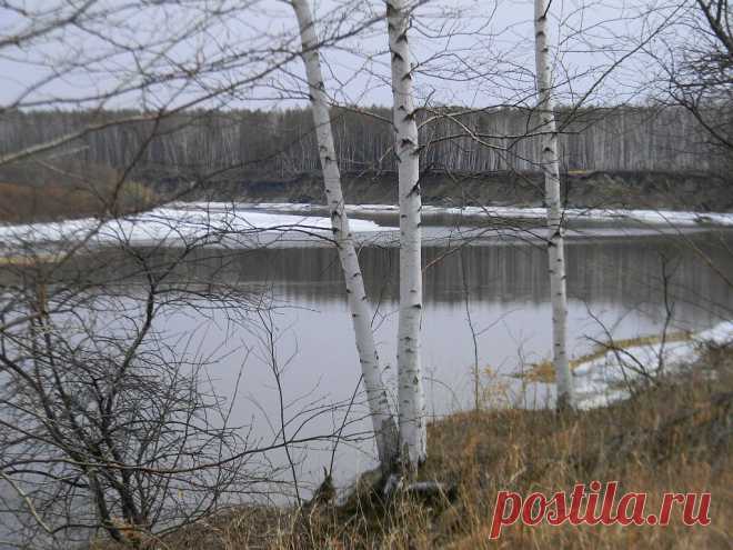 ФОТОМАСТЕРСКАЯ ПРИРОДЫ
Елена Рыльская(Шапрынская)