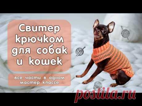 Как связать простой свитер крючком для собак и кошек, все части