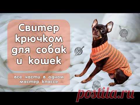Как связать простой свитер крючком для собак и кошек, все части